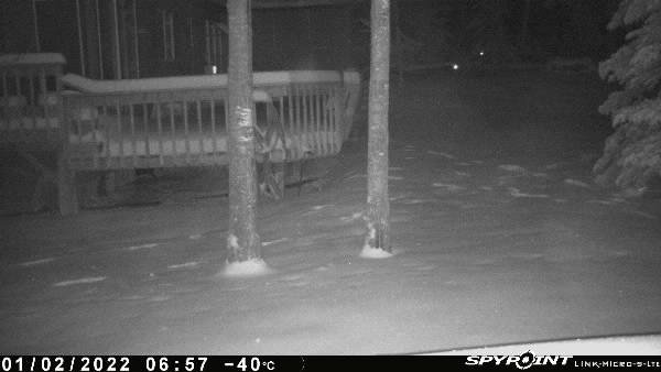 dan_suds's tweet photo. -40 Celcius and the camera is still working.  Impressive!! @SpypointCamera https://t.co/2PHi4GWyo0
