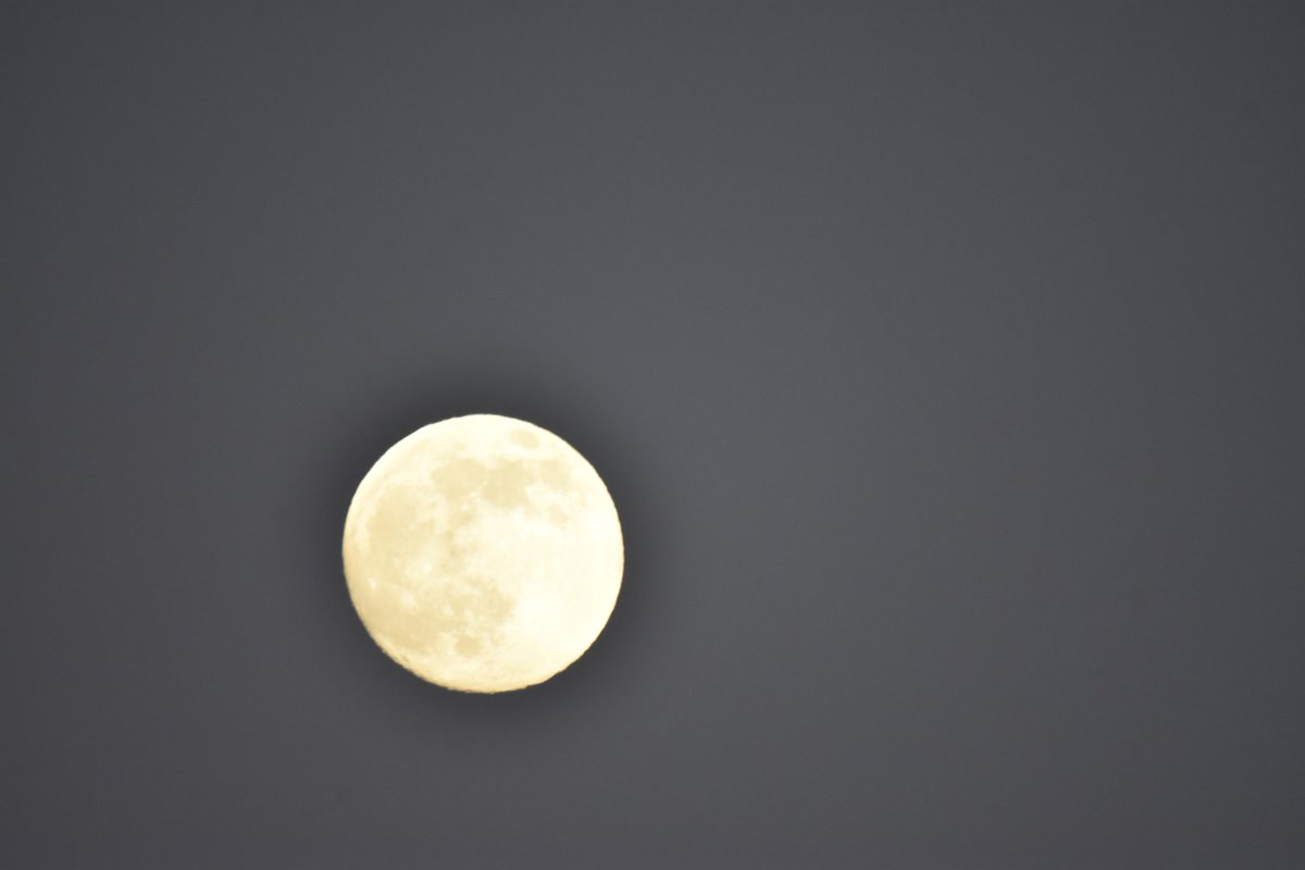 DavidPittet245's tweet photo. Magnifique photo de la lune 😊🌕 https://t.co/l8GyYbPmbs