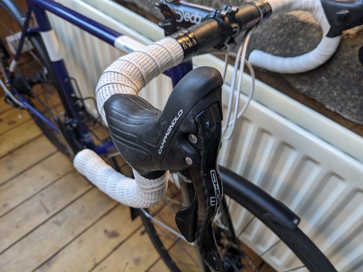 Elisabeth Anderson is at @velobetty@toot.bike tweet media