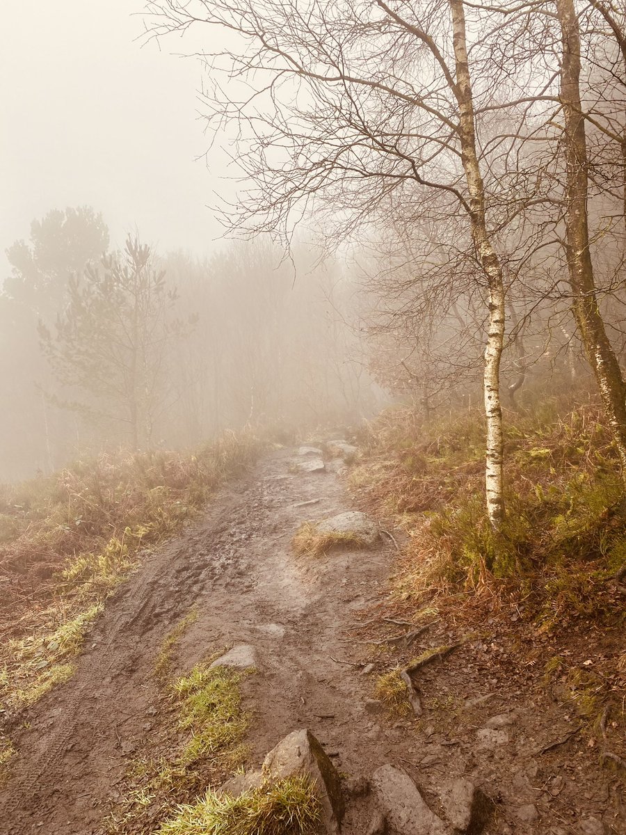 Some good hills walked today!