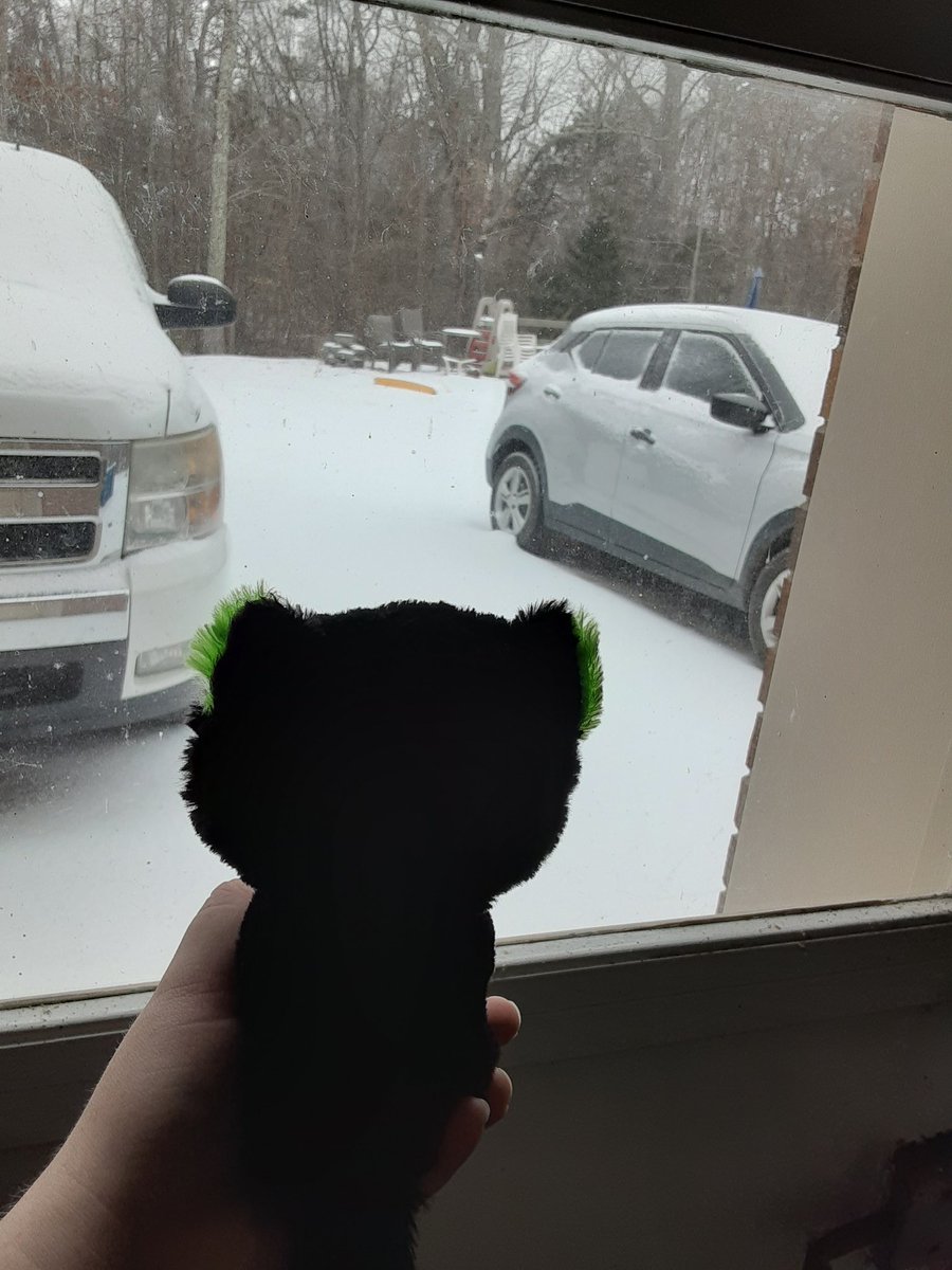 CuteCiar's tweet photo. Doing an indoor #hedgewatch shift from the garage. Mom... why is there sugar outside? https://t.co/hVWX3pIyv5