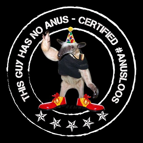 MarthijnT's tweet photo. @OmeWillemsatire @densie10238391 Gek hè. Ik mis de anusloze neprepper totaal niet #anusloos #kafblok #kafout https://t.co/oai8Qhi2Qz
