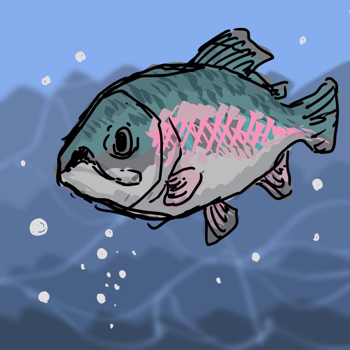 サカナです。オミクロンどうなんだろう、、？
#イラスト　#魚　#ブログ初心者