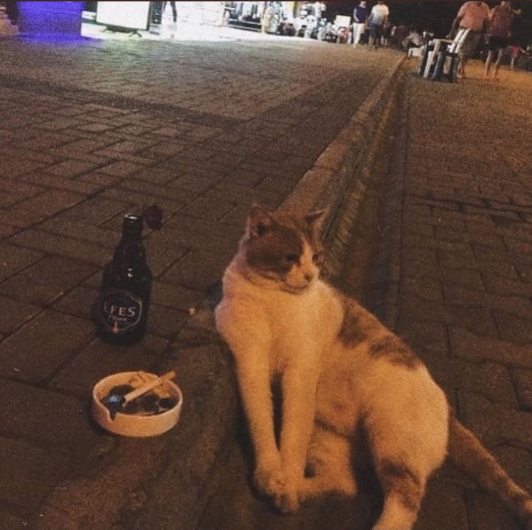 Mehmet ŞAHİN (@eazyeduzit64) on Twitter photo 