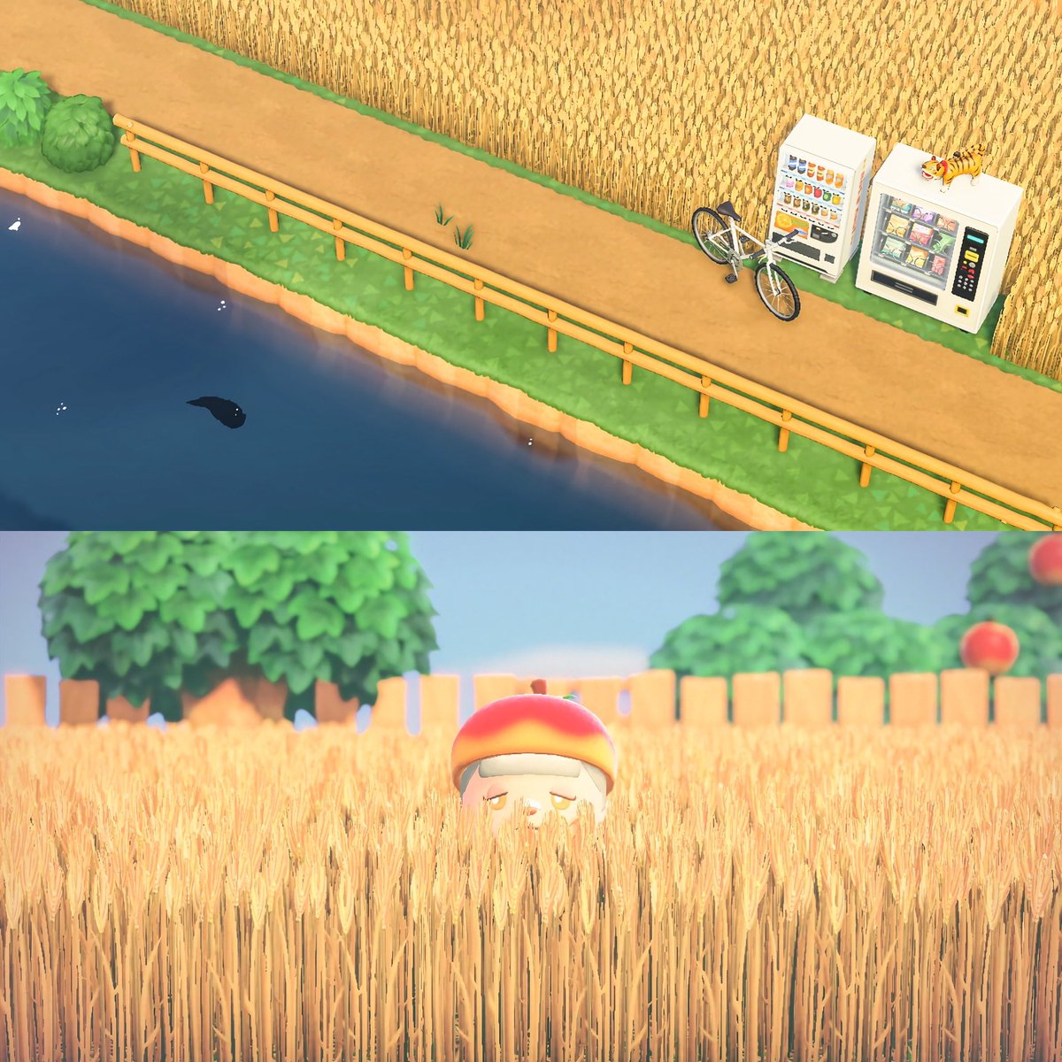 003 / Wheat 🌾 

#AnimalCrossing #ACNH #ACNHDesign #どうぶつの森