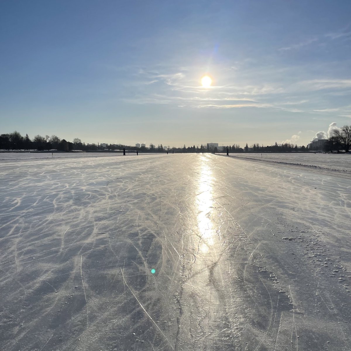 That <a href="/NCC_Skateway/">Rideau Canal Skateway</a> ice 😍 ⛸⛸