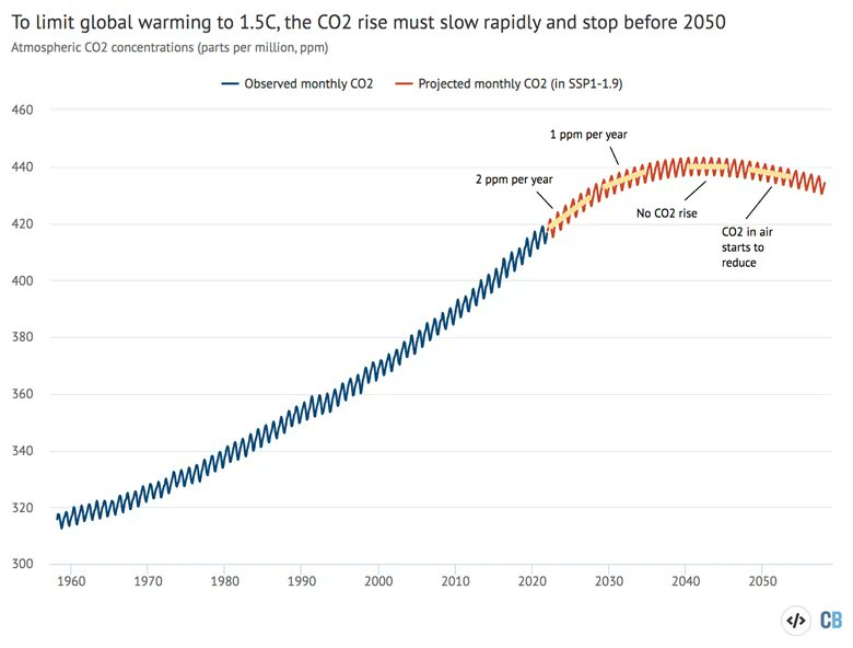 Carbon Brief tweet media