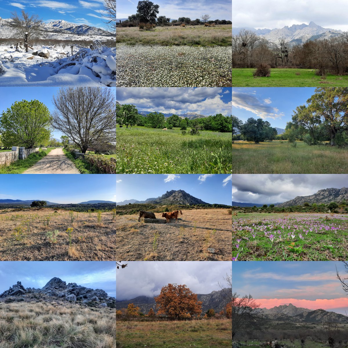 Francisco M Azcárate tweet media