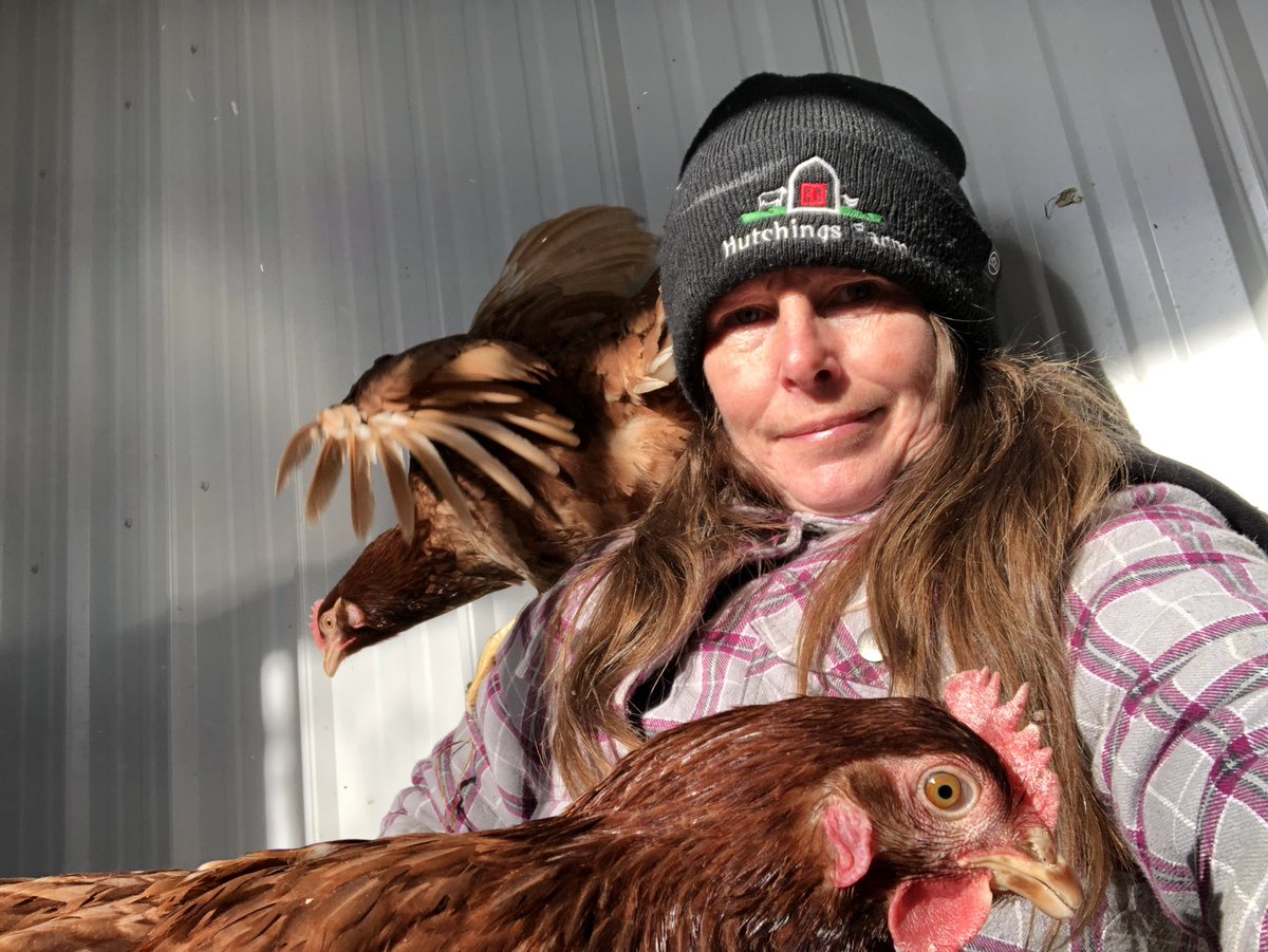 FarmHutchings's tweet photo. It’s cold outside he said. Dress in layers he said. #babyitscoldoutside #brownegglayers https://t.co/Ps4XWDyENF