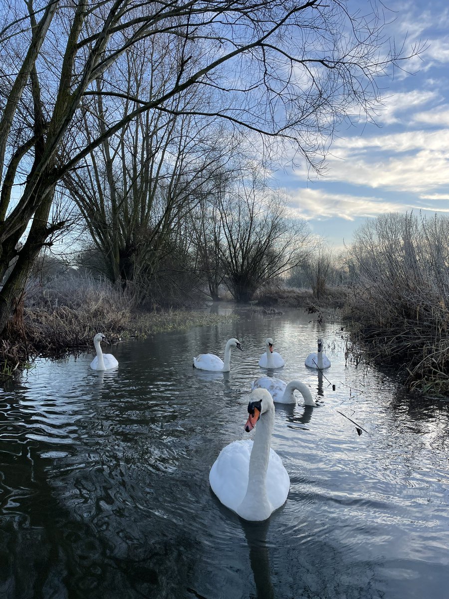 A beautiful week at Taverham Mill ❄️☀️