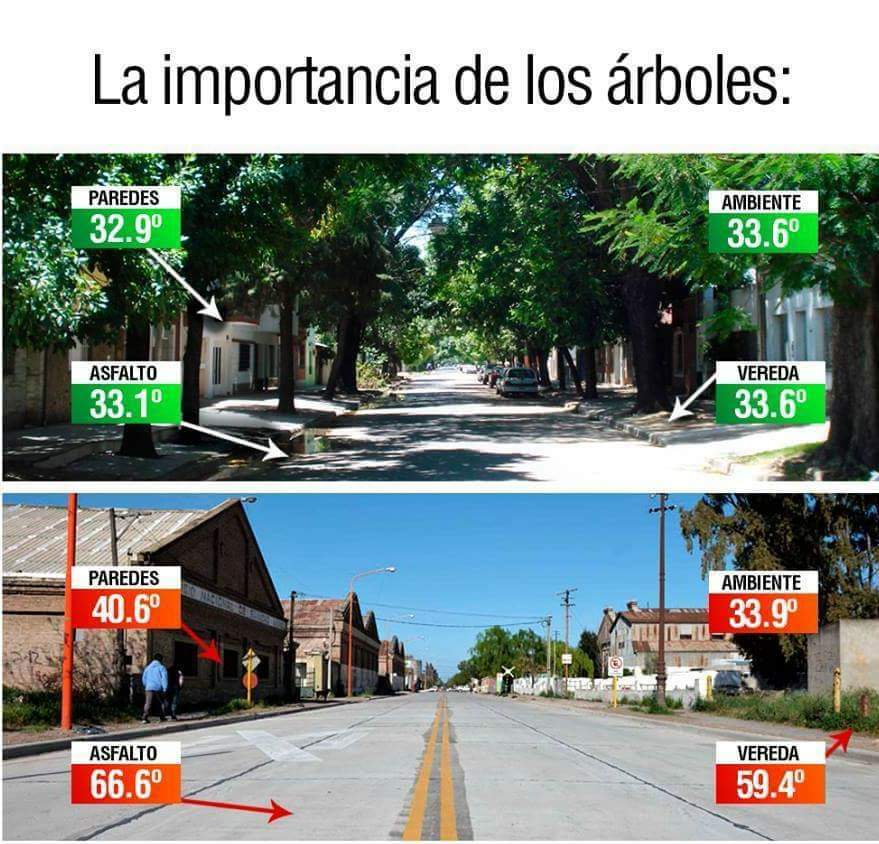 bioconsarq's tweet photo. #Asunción y #AMA son un gran #PasivoAmbiental crecieron sin legislación ambiental, el #jardinbotánico #ÑuGuasu y #Chacoi son los pulmones que le rodean.

La urbanización de Chaco i acentuará la isla de calor urbana y el nivel de inundación 64.
Planten Árboles es la única salida. https://t.co/0sJXZxPPsq
