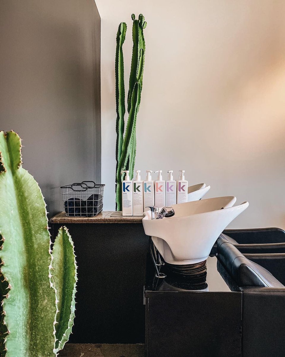 KevinMurphyIntl's tweet photo. What’s your favourite part of a hair service?

Ours is getting our hair washed 🙌

Credit: @holisticsalon
https://t.co/FzXXWik5pw https://t.co/FcWTlQsqHV