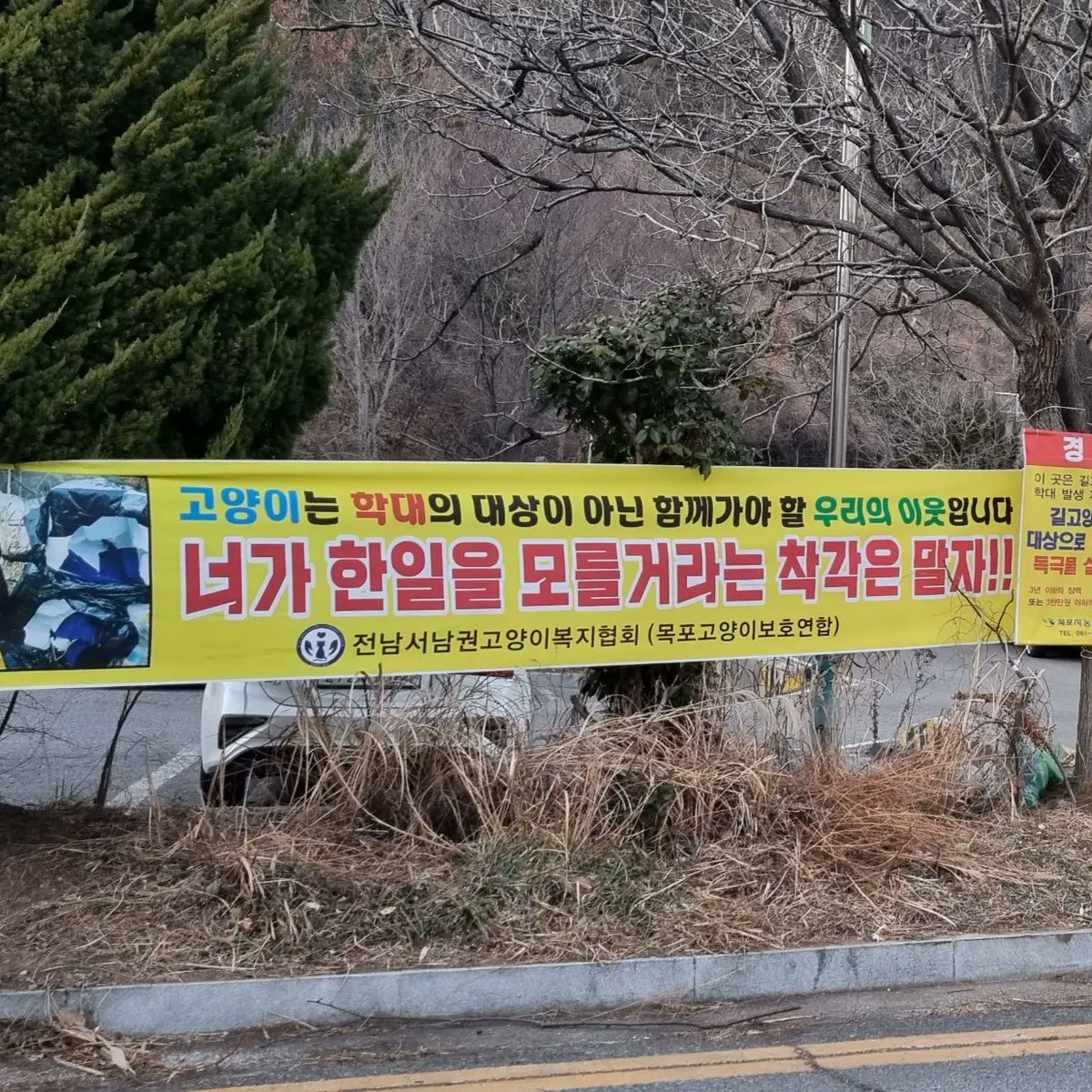 mokpocats's tweet photo. 얼마전 12월  캣맘이 주던 밥자리에 협박 편지를 남기고간 사건을 다들 아실겁니다

자신보다  더 낮은 생명체에 대한 배려와 존중이  통용되는 상식적인 세상이  하루빨리 오기를 두손모아 바래봅니다.

#밥자리 #급식소 #길고양이_급식소 #캣맘
#캣대디 #목포시 #고양이 #고양이
#협박 https://t.co/kVk1oBtYvR