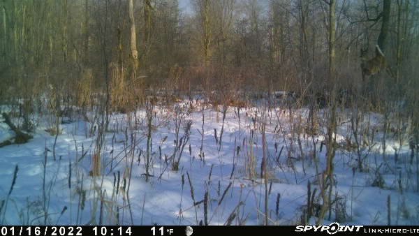 novacreature's tweet photo. Just flying through #deer #whyisspypoint @SpypointCamera
From my SPYPOINT Link Device https://t.co/5jRh7t9ypk