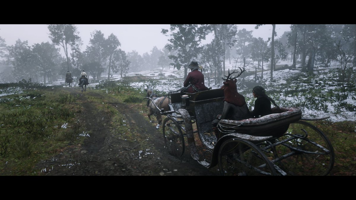 terrafoxe's tweet photo. #SaveRedDeadOnline https://t.co/qCBA3Fhr4i