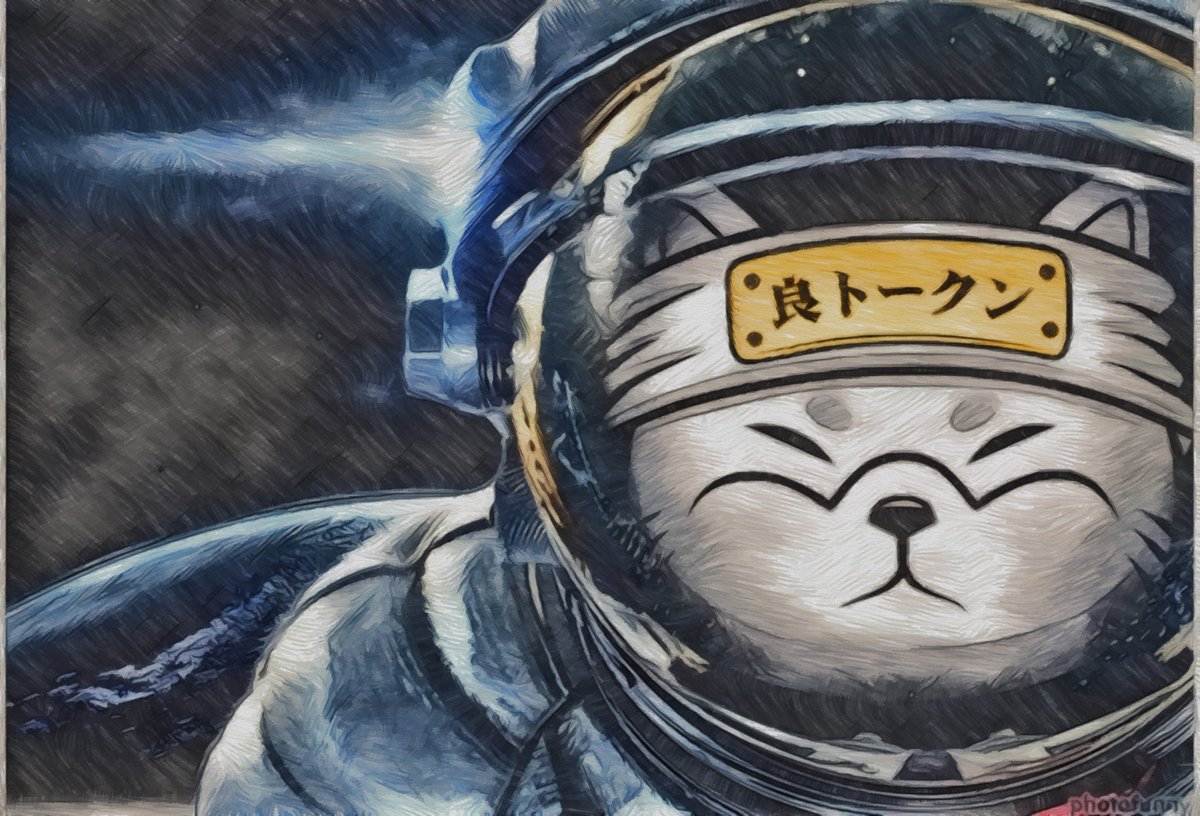 RyoshiHodler's tweet photo. Ryoshi is ready for the Moon! 
How about you?!

#Ryoshitokenarmy #ryoshitoken #mooncrew #MOONSHOT #altcoins #BinanceSmartChain #ETH #readyforlanding #CMC #CoinGecko https://t.co/WUR1ayefWd