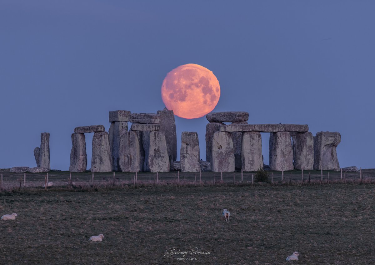 Full Moon tomorrow (17th January) at 11.48pm. The first full moon of 2022 will light up the skies and stay illuminated for around three days. The moon will be accompanied by a bright star from the Gemini constellation. 🌕🔭🌠tinyurl.com/3zcfe52a