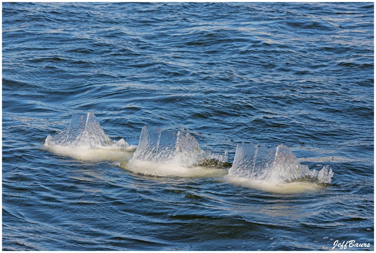 JeffBaurs's tweet photo. No pancake ice at Grand Haven Michigan yesterday, but there were a bunch of these ice sharks patrolling the channel.
January 15, 022. Lake Michigan.
#GrandHaven #Michigan #IceSharks #Winter #ArcticAir #PureMichigan #LakeMichigan https://t.co/0PU4v4N4rX