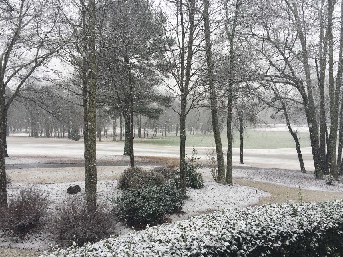 DavidChandley84's tweet photo. Dusting happening at Mom and Dads house in Barrow County. More to come. @TheGeorgiaClub #1Silver https://t.co/YgaoxzfKSB