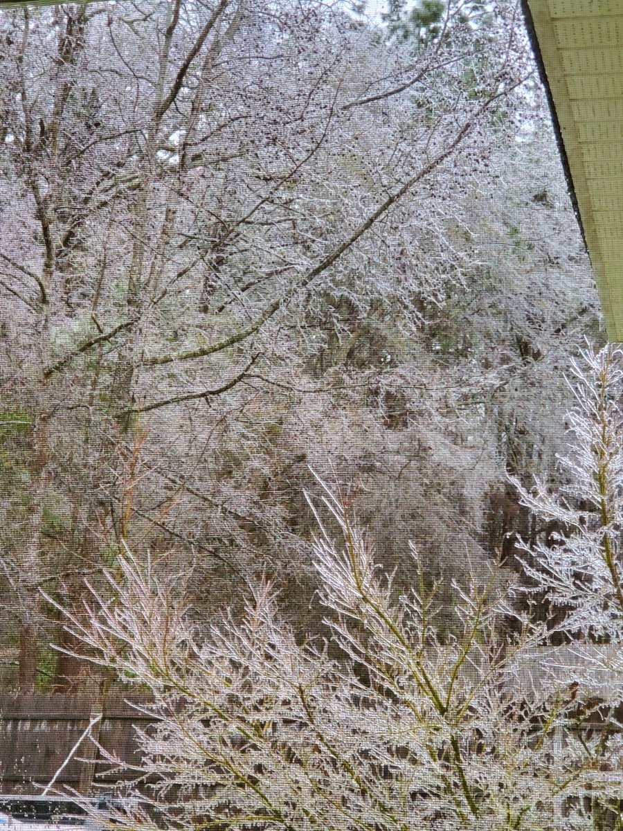 CindyMerritt19's tweet photo. @JamalGossWIS @WatchYourRepsSC @SamBleiweisTV @NewsDrewWIS @wis10 @CumlerHannah @DominicBrownTV @Kevin_Arnone Blythewood Rd https://t.co/gdbKCD35Ef