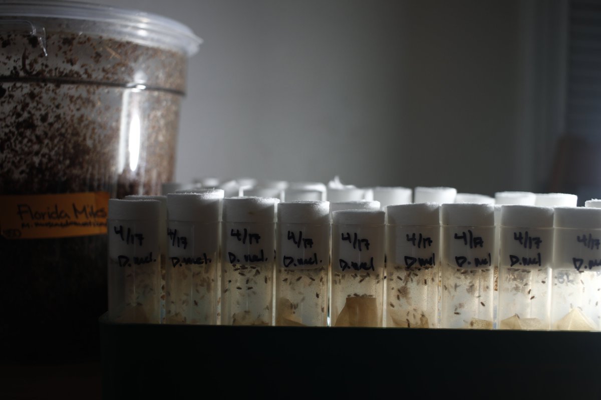 Emily S Durkin, PhD 💯 tweet media