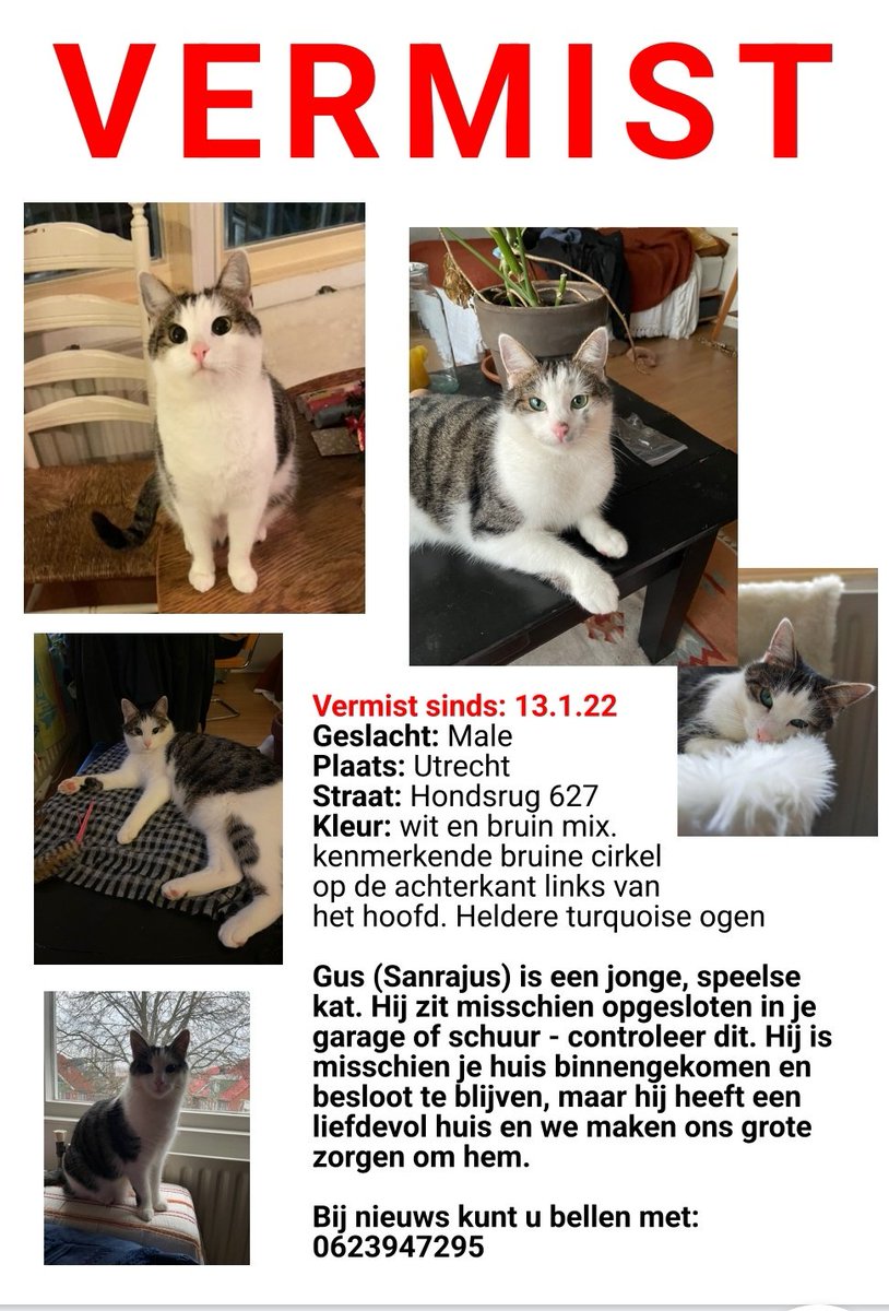 Sharon and Maureen tweet media