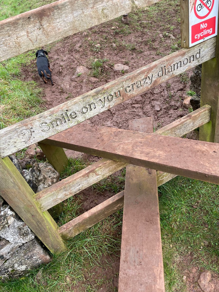 S_A_R_Lab's tweet photo. Sunday dog walk vibes at Ebbor Gorge circular with Hans the mini-dachshund 10k #dogsofgameaudio
#bristol https://t.co/yAqA1OKZZX