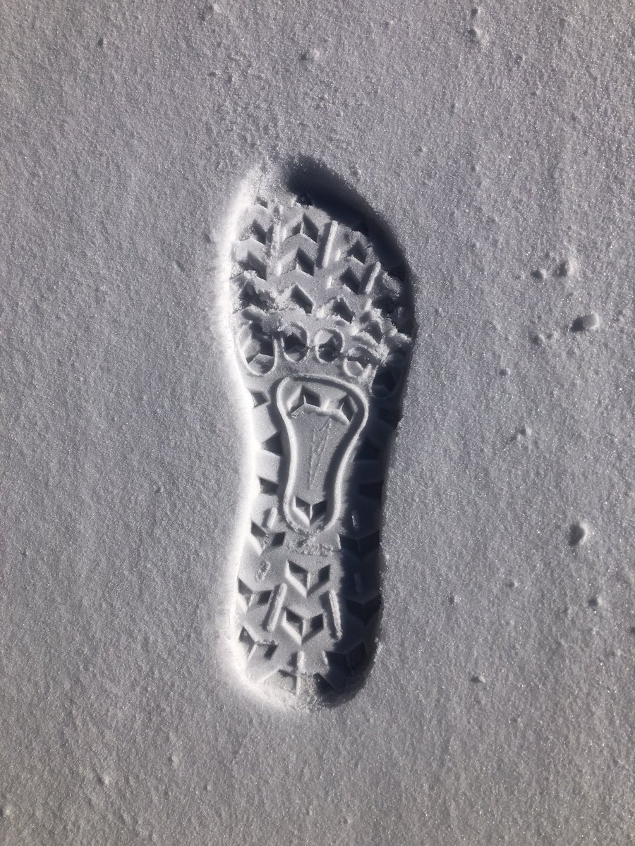 yepyepyep tweet media