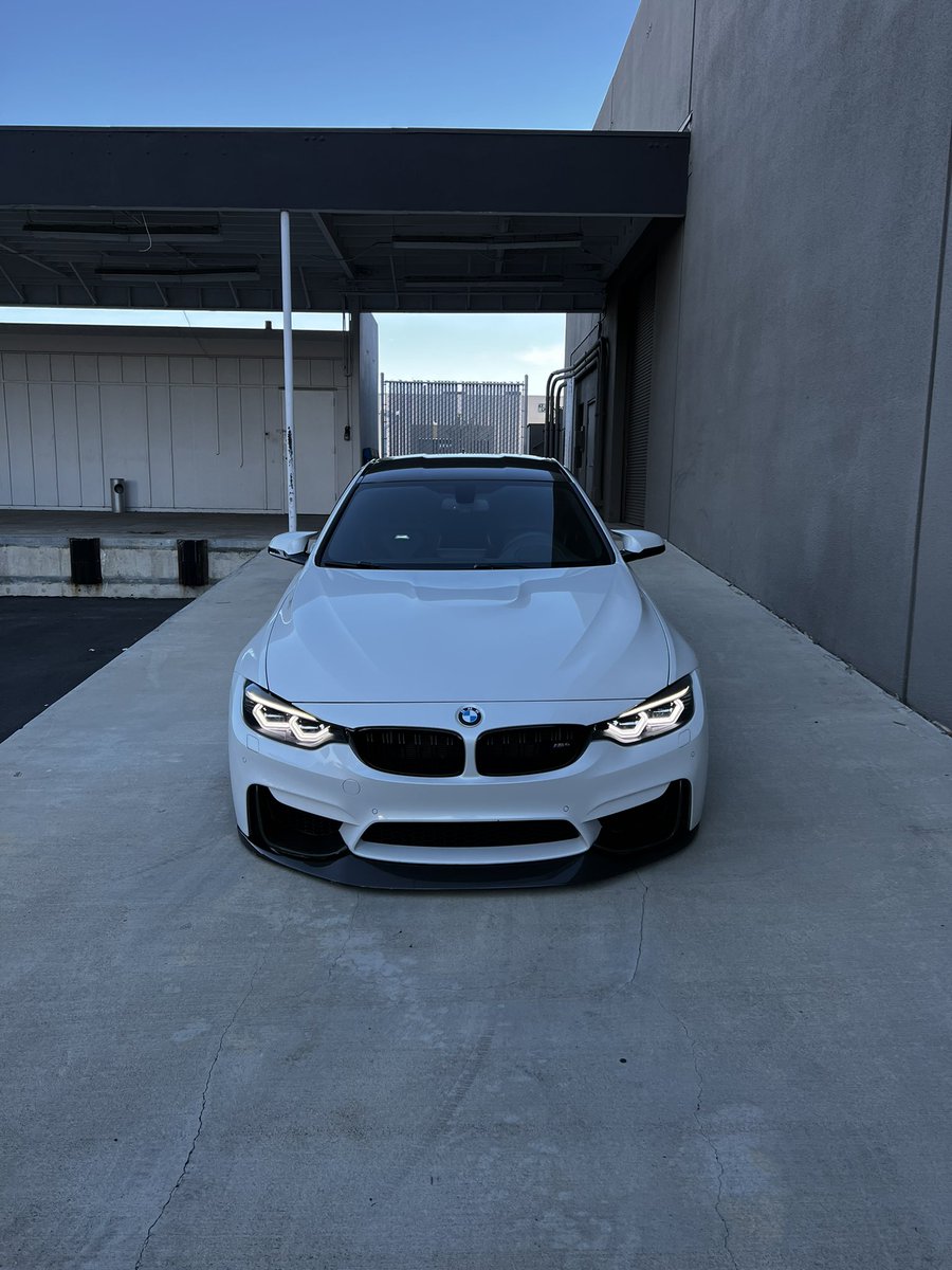 𝚎𝚕𝚒 tweet media