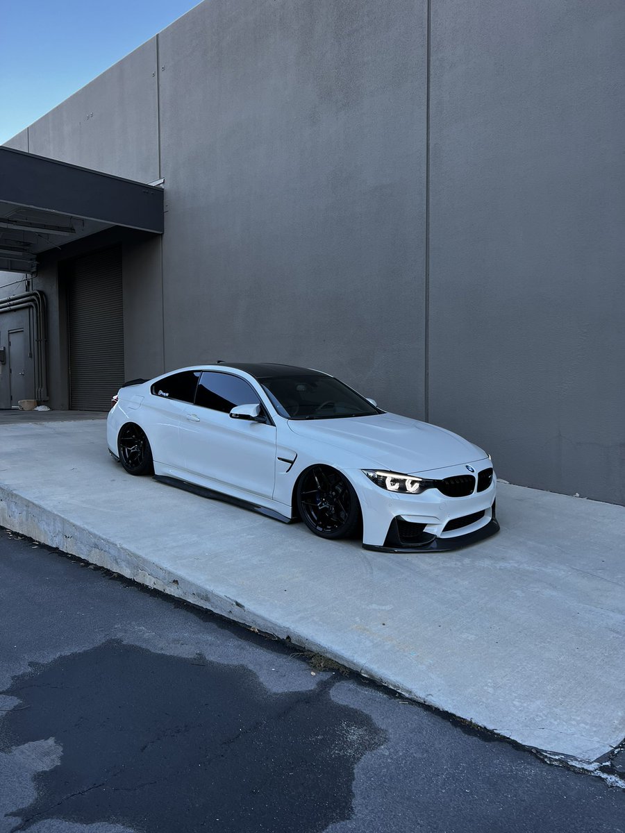 𝚎𝚕𝚒 tweet media