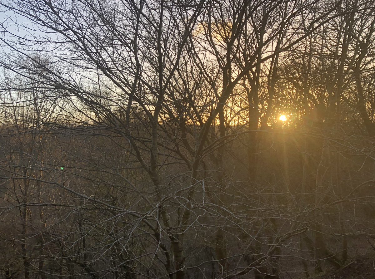 CATSCOTLAND's tweet photo. My Sunday local sunny walk. A wee bit cold but it is Scotland after all.😊🏴󠁧󠁢󠁳󠁣󠁴󠁿 Loving the winter colours around me,still so pretty. 🌳🍃🍂❤️🏴󠁧󠁢󠁳󠁣󠁴󠁿#Scotland @MyPeakChallenge #MPC2022 https://t.co/GrY0MBmcQO