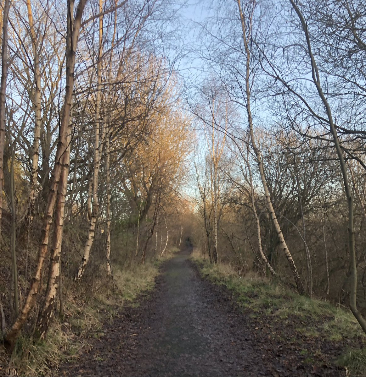 CATSCOTLAND's tweet photo. My Sunday local sunny walk. A wee bit cold but it is Scotland after all.😊🏴󠁧󠁢󠁳󠁣󠁴󠁿 Loving the winter colours around me,still so pretty. 🌳🍃🍂❤️🏴󠁧󠁢󠁳󠁣󠁴󠁿#Scotland @MyPeakChallenge #MPC2022 https://t.co/GrY0MBmcQO