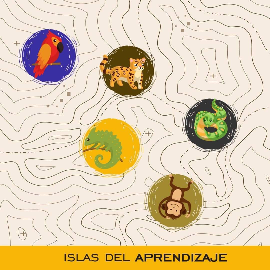 CodigoFrida's tweet photo. Para elegir la problemática social, cada equipo pasará por cinco islas, en las que se obtendrá una habilidad con la cual se materializará parte del proyecto.
#CodeandoConFrida https://t.co/Tar3zu1qcH