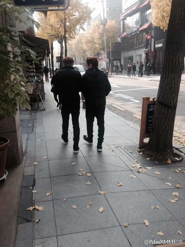 HourlyXiuhan's tweet photo. #Xiuhan #Lumin #루민 #鹿包 #ルーミン https://t.co/fHergUhGUX