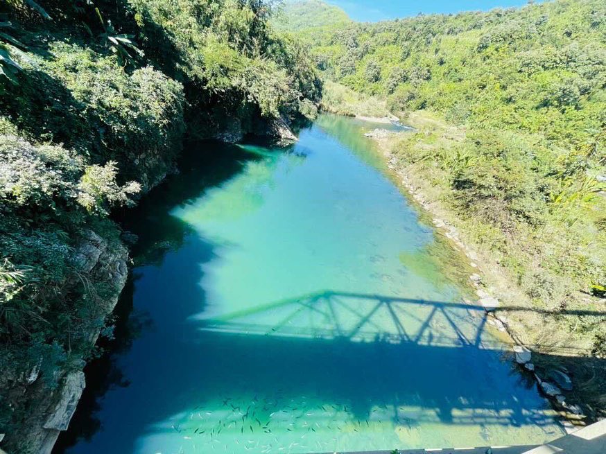 mizoraminsta's tweet photo. A school of fish under Tuichang bridge, which is conserved by the localities and YMA of nearby village
Location 📍: Tuichang lui
Picture credit 📸 : malsawmkimi_ralte_ #mizoraminsta #mizoram #tuichangral #tuichanglui #tuichanglei #sangha #sanghahumhalh #conservated #protected https://t.co/bclXwNKfC5