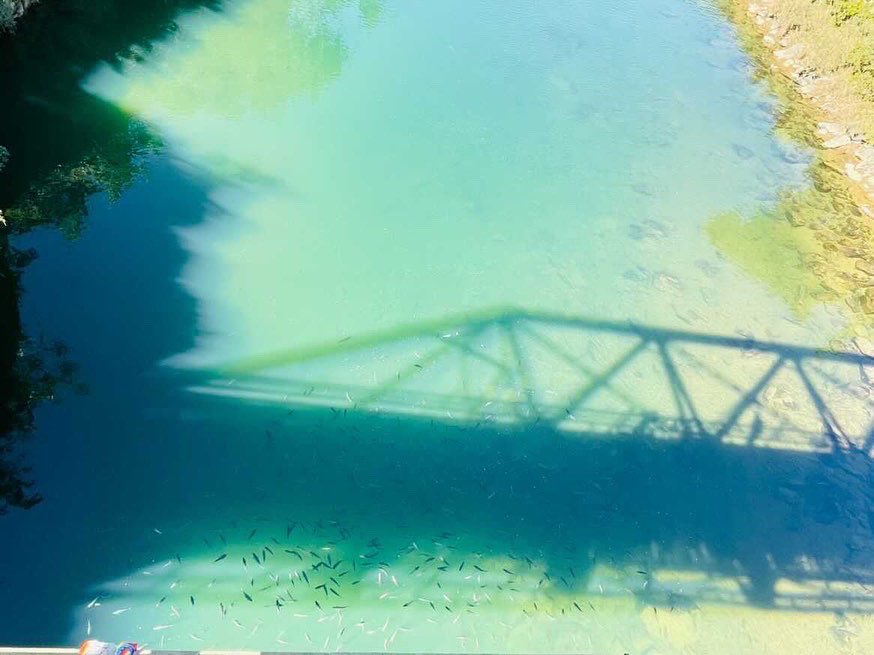 mizoraminsta's tweet photo. A school of fish under Tuichang bridge, which is conserved by the localities and YMA of nearby village
Location 📍: Tuichang lui
Picture credit 📸 : malsawmkimi_ralte_ #mizoraminsta #mizoram #tuichangral #tuichanglui #tuichanglei #sangha #sanghahumhalh #conservated #protected https://t.co/bclXwNKfC5