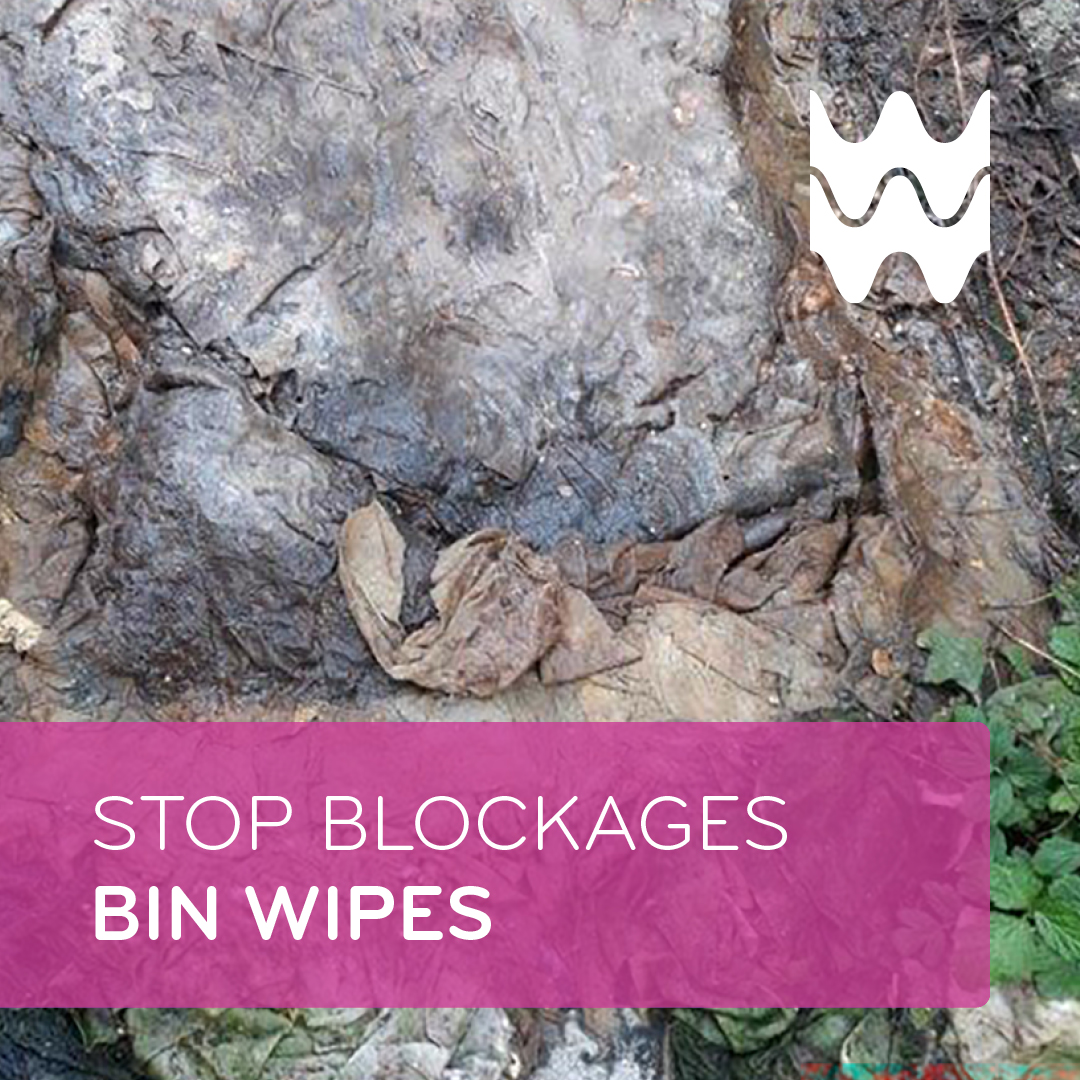 DwrCymru's tweet photo. The truth about wet wipes…

🚮 They belong in the bin - even if they say ‘flushable.’

Just a single wet wipe is enough to start a blockage in your sewer pipe and risks causing a flood.

👉 For tips and advice on how to protect your pipes, visit: https://t.co/pVSxBX3qB0 https://t.co/z9DIbANUac