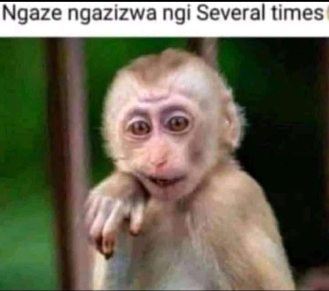 stheza_pha's tweet photo. #DateMyFamily
Mara mo girl..ayiii kodwa https://t.co/VSO8TeYDsR
