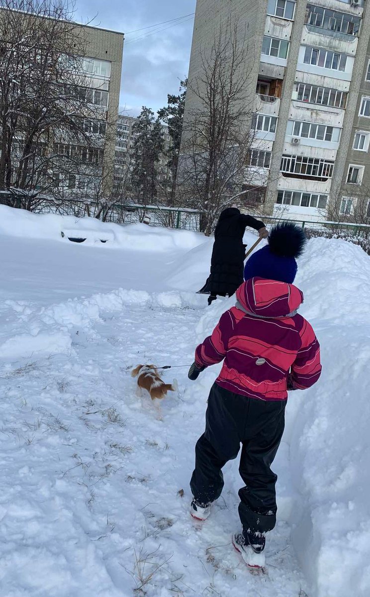Зимушка - зима,
Все дорожки замела!
К нам на помощь пришли родители и после очередного снегопада расчистили наш участок от снега, тем самым создали условия для двигательной и познавательной активности детей на прогулке.