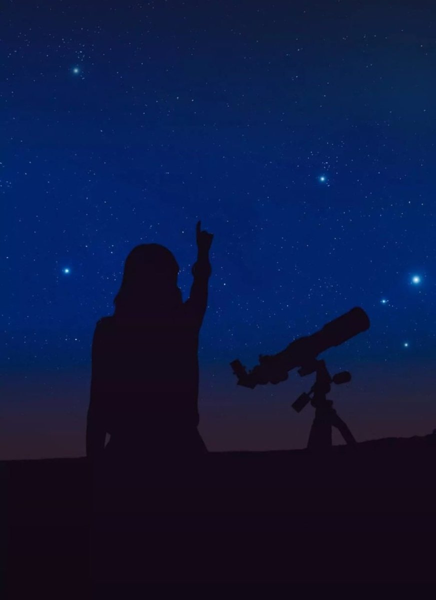 Teekhi Chilli tweet media