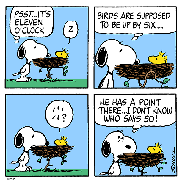 Woodstock's tweet photo. """ "' '' '"""""" ''''''''' '" "" '''! #IPreferToSleepIn 💤 https://t.co/n46pb7Khxr
