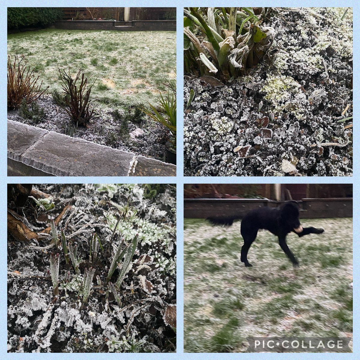 TynewyddNursery's tweet photo. Mrs Hale went out into the garden early on Saturday morning and everything was frozen! If you are out and about this week don’t forget that for homework we are looking for signs that winter is here! I would love to see what you find. ❄️ ⛄️ #homework #signsofwinter https://t.co/IrG2oVed9H