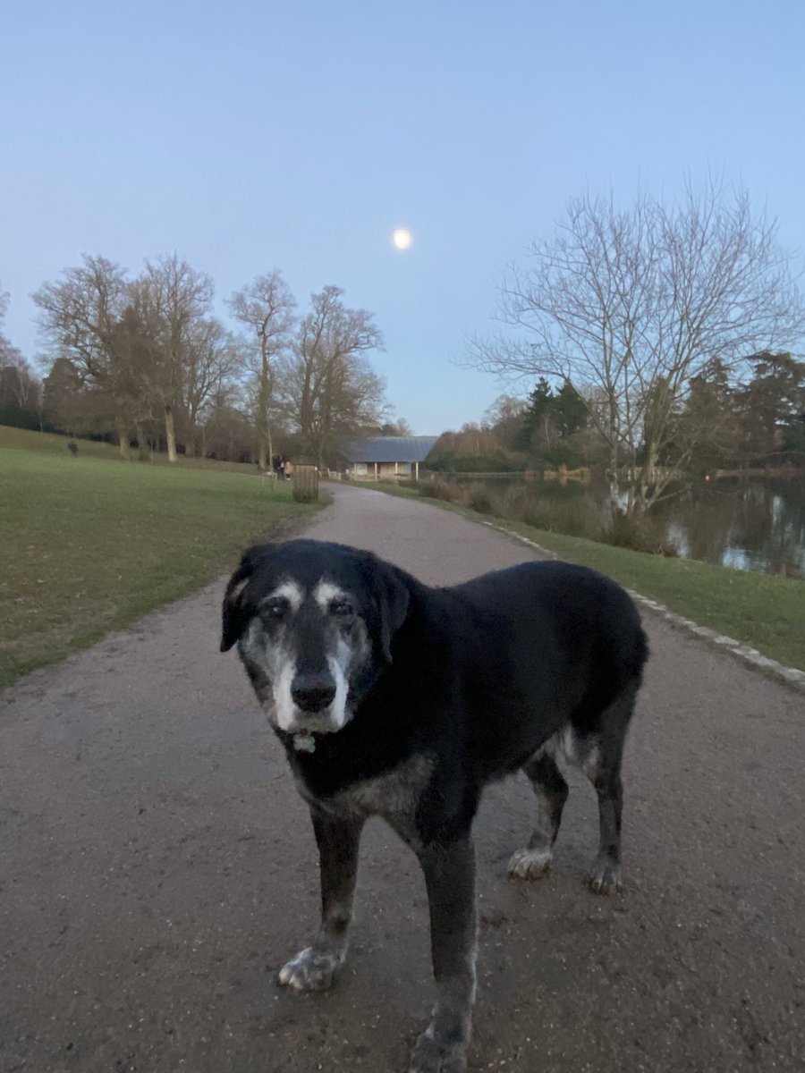 Good evening from <a href="/DunorlanPark/">Dunorlan Park</a> 😀