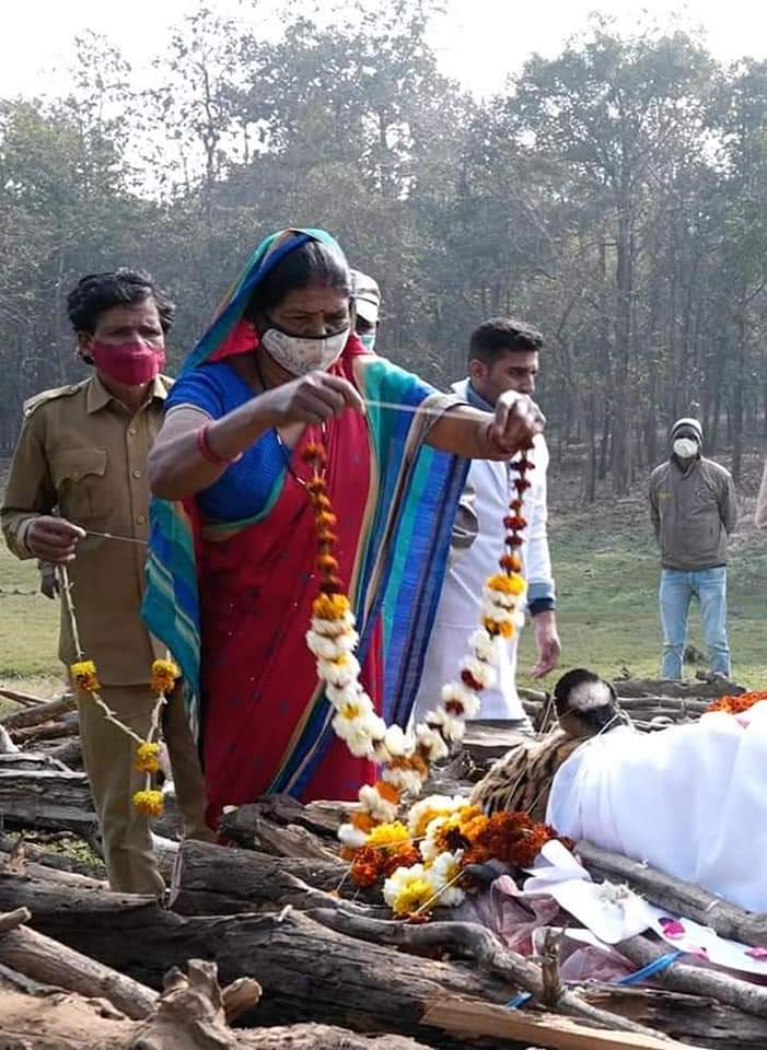 rfochaudhari's tweet photo. #माताराम🐾  वाघासारखा एखादा हिंस्र प्राणी  मेल��यावर जंगलाच्या आजुबाजुला राहणार्या सर्वसामान्य लोकांनी हळहळ व्यक्त करण तस दुर्मिळच आणि आपल्याच कुटुंबातील सदस्य गमावल्याच दुःख या जनसामान्यांनमध्ये आहे. मानव-वाघ संघर्षात ही चित्रे बरंच काही सांगून जातात! 
 #T15 #collarwali #mataram https://t.co/A1m5CeMKNo