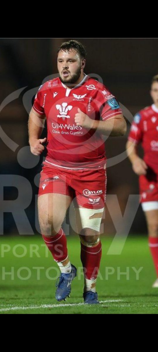 Dai O'Connor tweet media