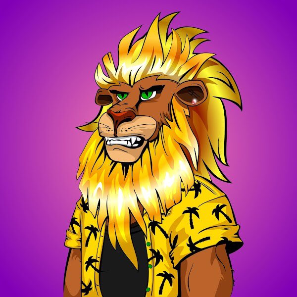 Alessdibe's tweet photo. @KylexSassy @NFTCompanyy @CheekyLionClub Let’s go Lions 🦁🦁🦁 https://t.co/hN3iJes3ew