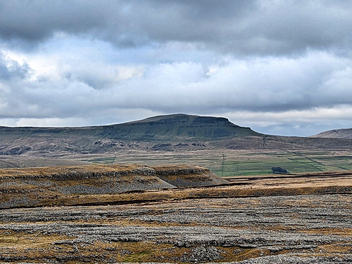 AddinghamPhotos's tweet photo. Lovely day for the Sunday stroll. Round walk from Austwick via Moughton Scar.
#YorkshireWalks #Crummackdale #WalkWeekend https://t.co/PlGX8iUxDN