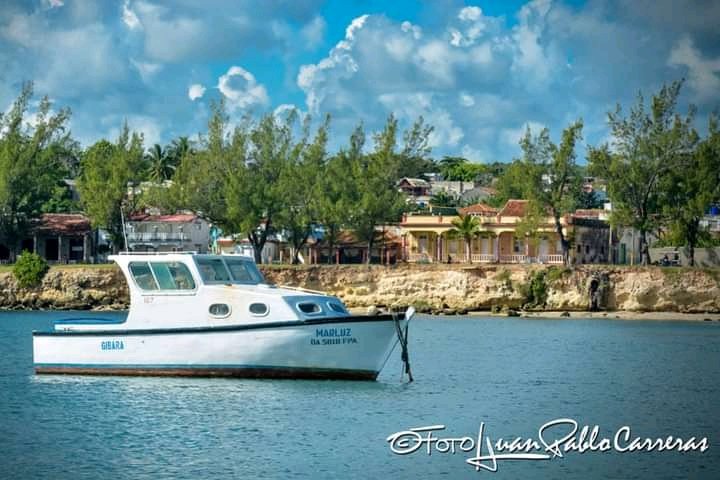 telecristal tweet media