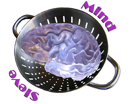 GloriaOliver's tweet photo. Mind Sieve for 1/14/22 is up! Eternals, Spider-man, and Matrix, oh my! #minimoviereviews #giveaways #trailers
https://t.co/yz7CTlXbl4 https://t.co/s9TjyNZi7e