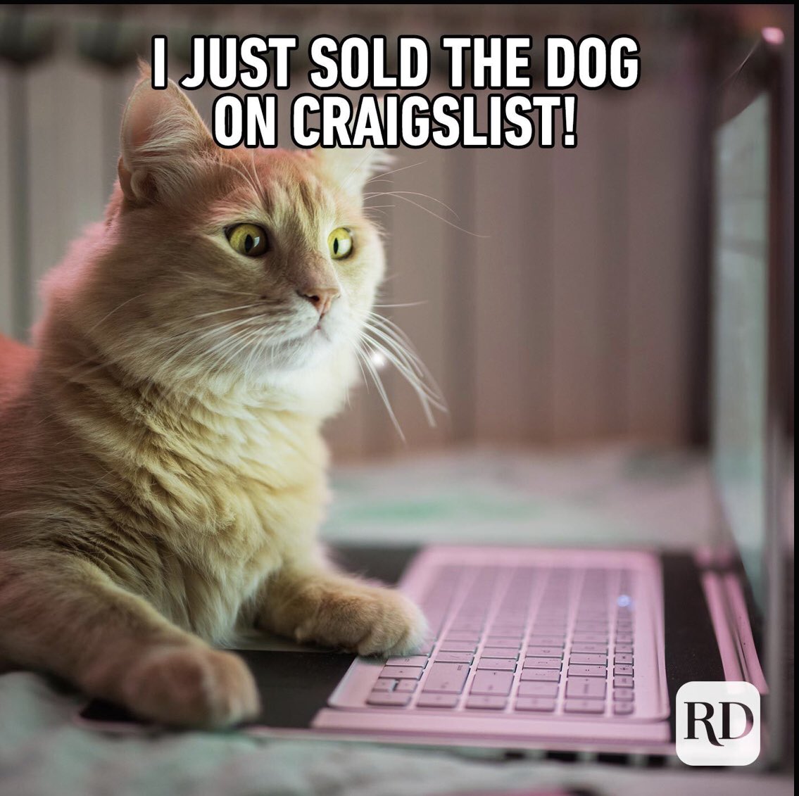 BishopBob (@bishopbob747) on Twitter photo 